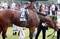 Ascot Renntag09   093